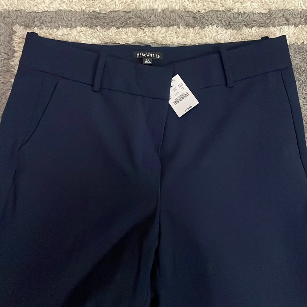 22 - J Crew - Pants - Blue - 14